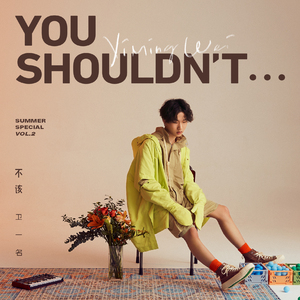 不该 You Shouldn't…