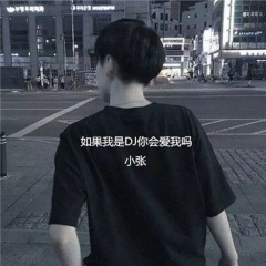 我爱上了一个女孩 (小张Mix)