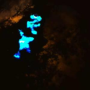 告诉她(Feat王蚊香)