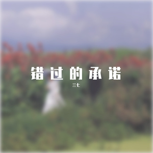 三七-错过的承诺dj（三七 remix）