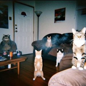 [FREE] "The Gang" Big 30 TypeBeat