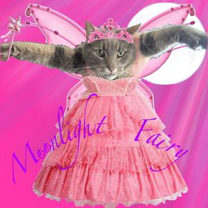 Moonlight Fairy