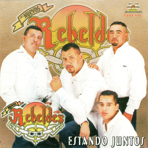 Sentimiento De Dolor