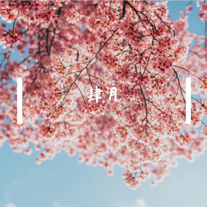 爱人错过（cover无孟子）