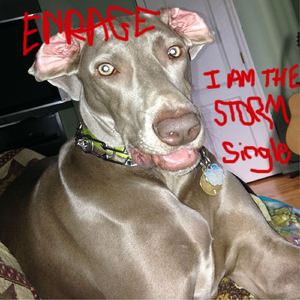 I Am the Storm