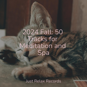 Unbridled Escape Symphony