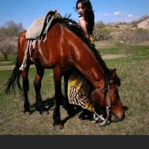 呼伦贝尔大草原