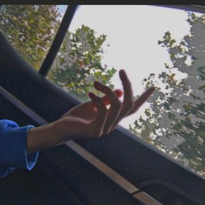 孤独的皮特张（翻自 蒋蒋）