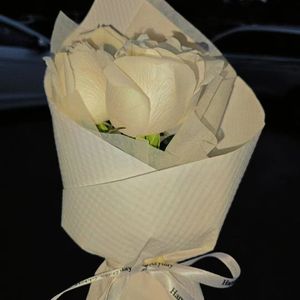 不做玫瑰（Prod by.FakeBlood）