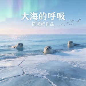 大海的呼吸