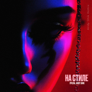 На стиле (Andy Shik Remix)