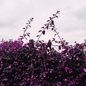 Graveyard Scene