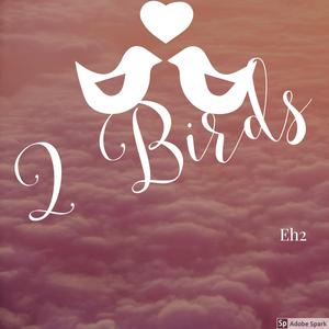 2 Birds