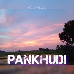 Pankhudi