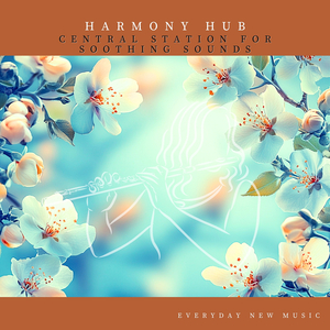 Harmony Hub