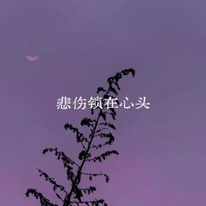 悲伤锁在心头