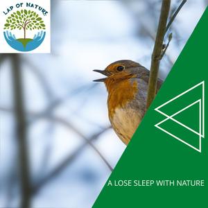 Flames Burning Sound