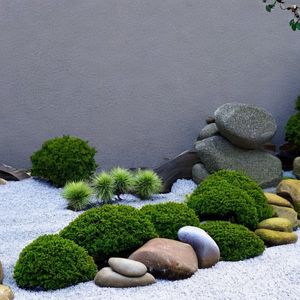 Zen Garden