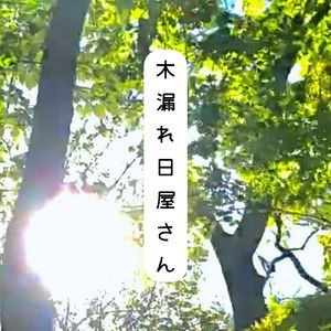 木漏れ日屋さん