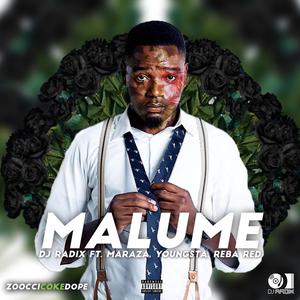 Malume