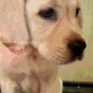 [售卖中]Moving Club