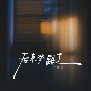 后来梦醒了