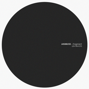 Fragment (Original Mix)