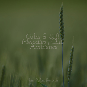 Crimson Sea's Slumber Song