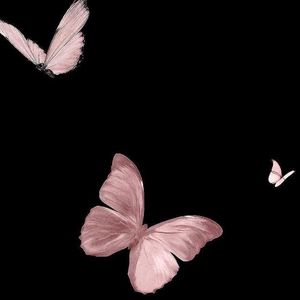 我还有点小糊涂 (动画《熊出没》片头曲)-Live ‖ 2