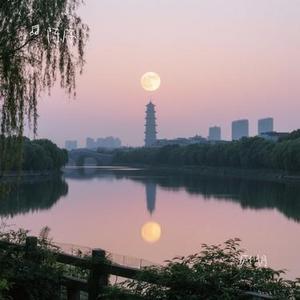 庐州月 (Cover 许嵩)