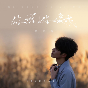 你说你爱我 (DJ豪大大版)