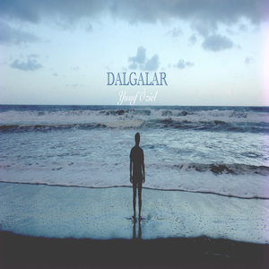 Dalgalar