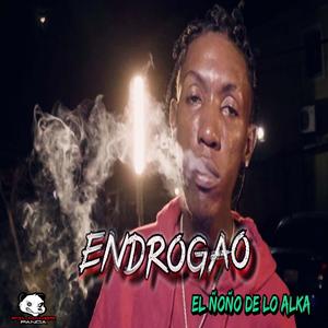 endrogao