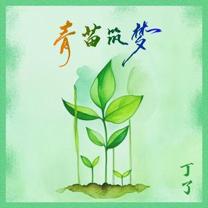 青苗筑梦