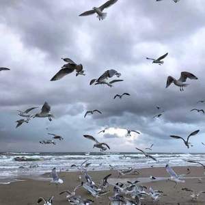 Ludovico Einaudi-ephemerality（Fractal remix）