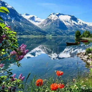 《画家的情话》