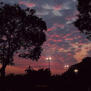 青春白皮书（remix）