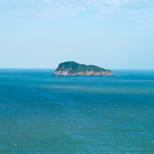 认定你是我的身体记忆