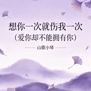 想你一次就伤我一次（爱你却不能拥有你）