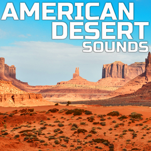 American Desert Ambience