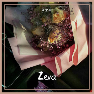 《ZEVA》 Cover