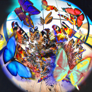 I Don´t Wanna Think