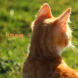 笑脸乐曲 (八音盒)