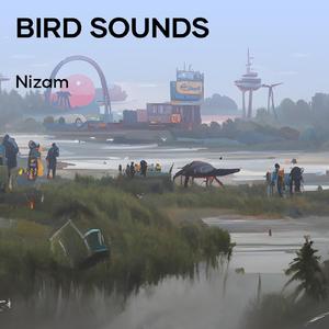 Bird Sounds