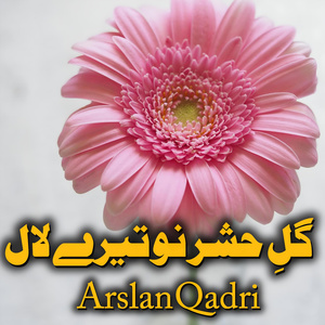 AAye Ammna Gull Bayan