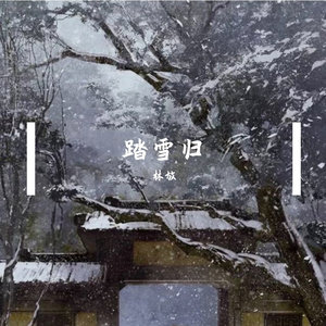踏雪归