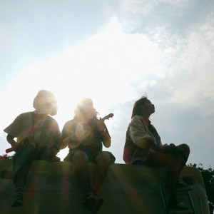 沉默的野马-Acoustic