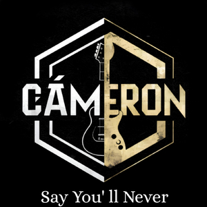Say You'll Never