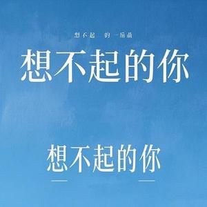 想不起的你