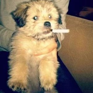 家【prod REVIVAL MUSIC】